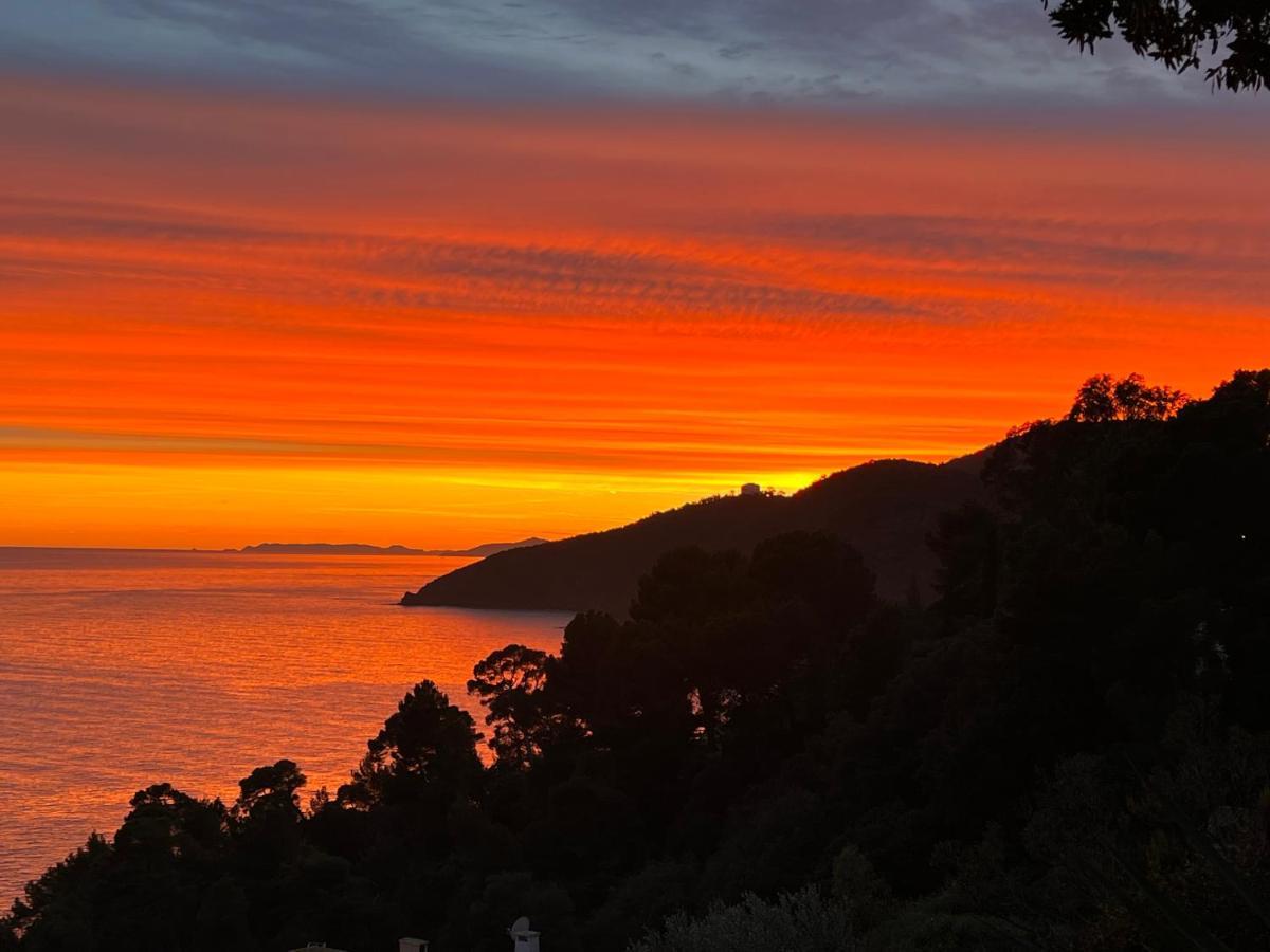 Magnifique Villa Neuve Vue Mer Cavalaire-sur-Mer Extérieur photo